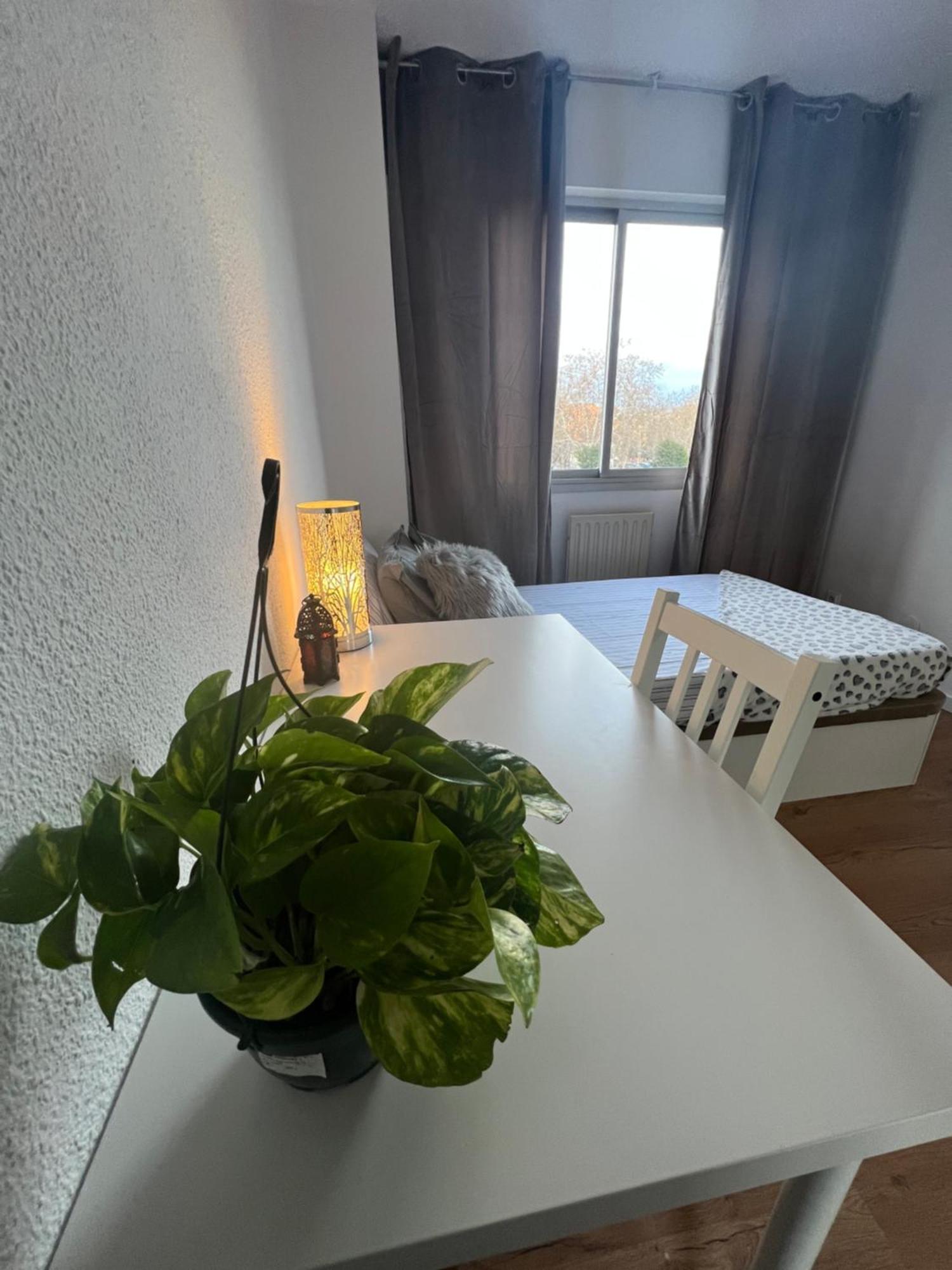 Habitacion En マドリード エクステリア 写真